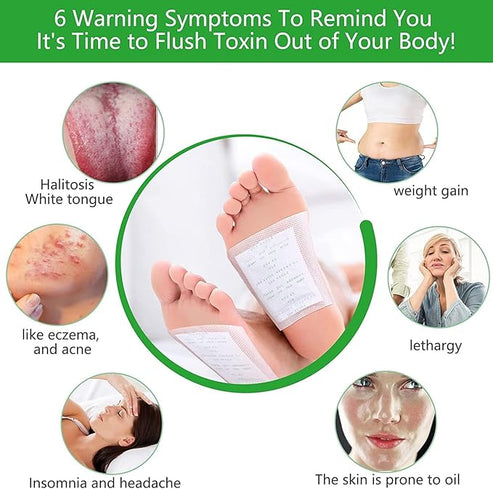 Honestcart Fitpiick Premium Natural Detox Foot Patches